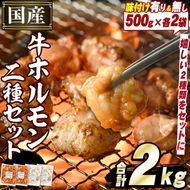 国産牛ホルモン2種セット(合計2kg) 国産 特産品 牛 小腸 味付 パック 詰め合わせ 詰合せ 炒め物 鍋 モツ おかず お弁当【スターゼン】akn031-01