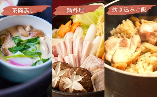 【天草の旨味】上天草の和風だし【添加物不使用】5点セット