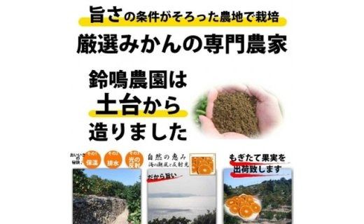 【有田川町】バレンシアオレンジ 4kg バレンシア バレンシャ 和歌山 ブランド 有田みかん ご家庭用  CE026