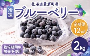 【定期便12カ月】北海道 豊浦町産 冷凍 ブルーベリー 2kg 栽培期間中農薬不使用 TYUS004