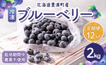 【定期便12カ月】北海道 豊浦町産 冷凍 ブルーベリー 2kg 栽培期間中農薬不使用 TYUS004