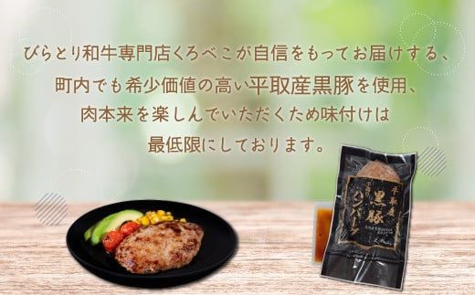 平取産黒豚ハンバーグ180ｇ6枚　オリジナルソース付 ふるさと納税 人気 おすすめ ランキング 黒豚 肉 ハンバーグ 北海道 平取町 送料無料 BRTB029