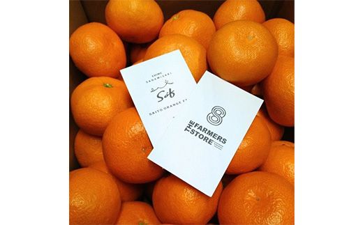 【先行予約】Saito Orange Farmの不知火4kg ｜ 柑橘 みかん ミカン フルーツ 果物 でこぽん デコポンと同品種 愛媛　※離島への配送不可　※2025年3月中旬頃より順次発送予定