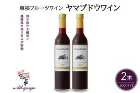 東根フルーツワイン　ヤマブドウワイン500ml×２本セット　hi004-hi024-006