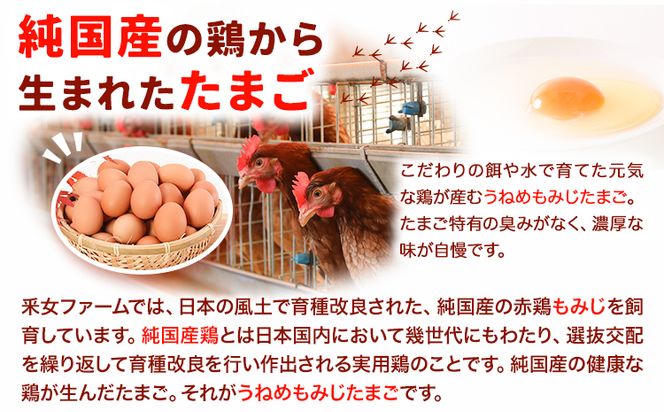 B-10 うねめもみじたまごとマヨネーズ　たまご約60個 マヨネーズ3本(250g/本) 采女ファーム 《45日以内に出荷予定(土日祝除く)》岡山県 笠岡市 たまご 卵 鶏卵 マヨネーズ セット TKG 送料無料