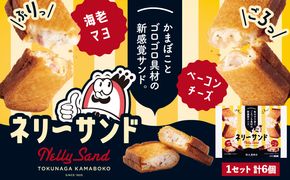 蒲鉾 小分け ネリーサンド エビマヨ チーズベーコン 数量限定 さつま揚げ 6個 徳永蒲鉾店《30日以内に出荷予定(土日祝除く)》蒲鉾 揚げ物 おつまみ 海鮮 お中元 ギフト お土産 チーズ 海老 国産 真空 魚 パン アウトドア BBQ かまぼこ---sn_ftokunly_30d_r7_12500_6p---
