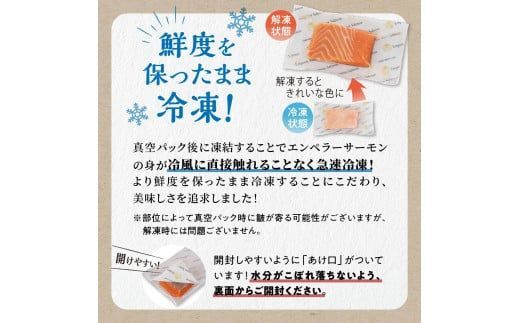 エンペラーサーモン プレーンタイプ 900g サーモン 鮭 小分け エンペラー を超えた キングサーモン アトランティックサーモン さけ サケ 魚 ふるさと 海鮮 海鮮食品 魚介類 魚介 刺身 カルパッチョ ムニエル レア焼き 食べ方いろいろ 送料無料 人気 ランキング 北海道 白糠町