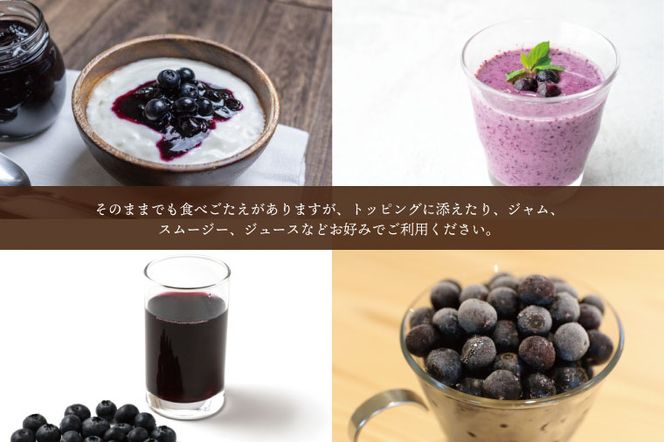＼数量限定／【先行予約】益子町産 冷凍ブルーベリー 1kg (500g×2袋) フルーツ 果物 (AA020-1)
