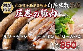 鹿追産 自然放牧黒豚 圧巻の豚肉（おすすめ加工品つめあわせセット）  SKN009