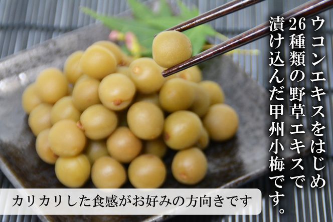 【カリカリ】信玄の薬膳小梅 800g [山梨農産食品 山梨県 韮崎市 20742086] 梅干し 梅干 うめぼし 梅 小粒 小梅 カリカリ梅 国産