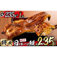 日ノ本一の鰻の蒲焼き＜特大＞1尾(約235g以上) a4-071