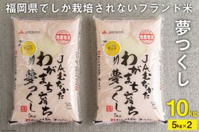 いつもの食卓に 「ちょっと贅沢な」福岡の美味しいお米 福岡の米 夢つくし 5kg×2 [南国フルーツ 福岡県 筑紫野市 21760886]