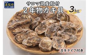 【予約：2025年10月より順次発送】【カキナイフ付】海のミルクサロマ湖産殻付2年物カキ貝 3kg 20～30個入 ( 海鮮 貝 牡蠣 カキ お祝い 熨斗 BBQ )【031-0009-2025】