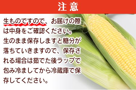 数量限定【2026年発送】＜宮崎県産 スイートコーン 約4.5kg＞2026年5月下旬～6月中旬迄に順次出荷【 先行予約 穀物 野菜 甘い 季節限定 とうもろこし おやつ ご飯 スープ サラダ BBQ 屋台 】【a0038_ja】
