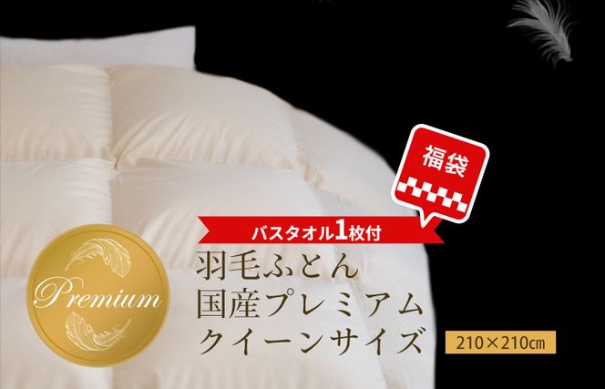 100F031 クイーンサイズ 羽毛布団プレミアム 日本製