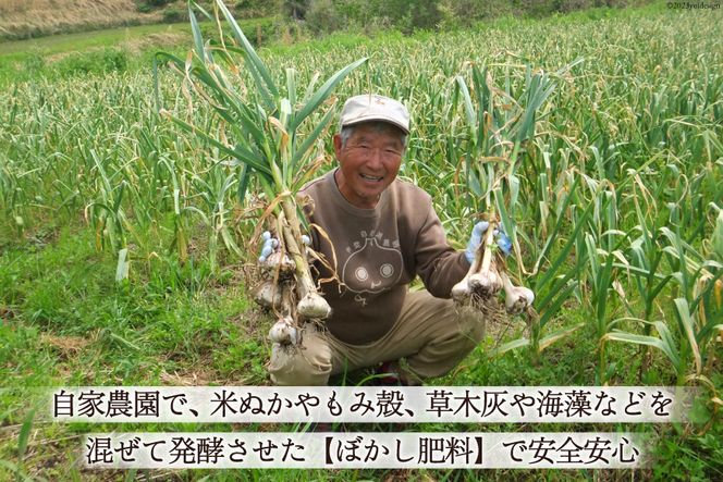 【期間限定発送】 にんにく 国産 500g [甲斐自然派農園 宮崎県 日向市 452060132] ふるさと納税 ニンニク 栽培期間中 無農薬 農薬不使用 化学肥料不使用 日向市産