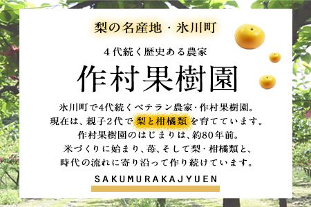 【先行予約】作村果樹園のあきづき梨 約5kg(9～13玉前後) 熊本県氷川町産 作村果樹園《8月下旬-9月末頃出荷》梨 なし---sh_csakuaki_bc8_26_17500_5kg---
