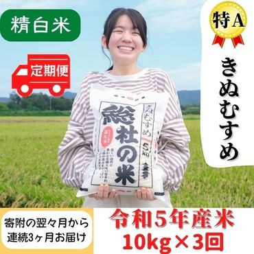 【令和5年産】特Aきぬむすめ【精白米】10kg岡山県総社市産〔3回定期便〕23-027-001