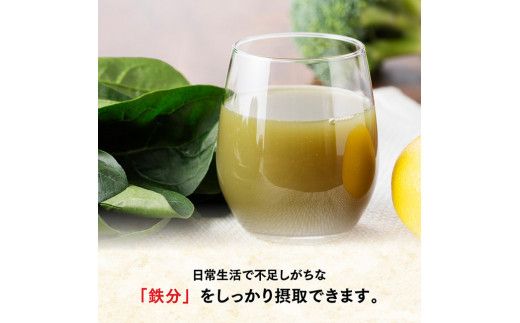 伊藤園 充実野菜 緑の野菜ミックス（紙パック）200ml×48本【3ヶ月定期便】 【 全3回 伊藤園 飲料類 野菜ジュース 野菜 ジュース ミックスジュース 飲みもの】 [D07324t3]