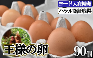 王様の卵 ヨード入 90個 平飼い 地鶏 有精卵 濃厚 卵 こだわり卵 たまご [AU002us]