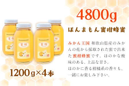 ほんまもん蜜柑（みかん）蜂蜜 1200g×4本 計4800g 村上養蜂《30日以内に出荷予定(土日祝除く)》和歌山県 紀の川市---wsk_muraymh4_30d_23_74000_4800g---