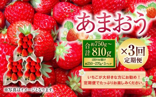 【3回定期便】あまおう （約250～270g×3パック）×3回【2025年1月下旬～3月下旬発送予定】