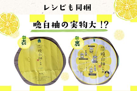 「はやし屋」の晩白柚のお酒 2本セット 熊本県氷川町産《30日以内に出荷予定(土日祝除く)》---sh_hayashisake_30d_23_13000_2p---