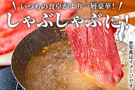 ＜宮崎牛赤身スライス500g+100g（合計600g）外もも＞翌月末迄に順次出荷【b0550_ty】