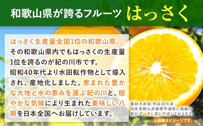 はっさく 八朔 和歌山産手剥き八朔缶詰 450g×8缶入 日高町厳選館《30日以内に発送予定(土日祝除く)》和歌山県 日高町 贈り物 ギフト 柑橘類---wsh_genthkk_90d_22_18000_8p---