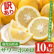 ＜先行予約受付中！2026年1月以降順次発送予定＞訳ありサワーポメロ(約10kg) 国産 果物 フルーツ 柑橘 甘味 酸味 デザート おやつ【松永青果】akn053-16