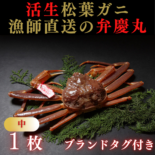 1245 松葉ガニ活生「中1枚」ブランドタグ付き(弁慶丸)[到着日指定不可]