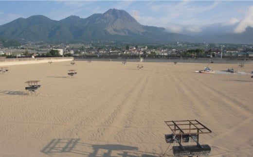 深江町漁協産車えび　車えび トロSURIMI しゅうまい（１０ヶ入）/ 南島原市 / 三ツ池 [SCK003] 