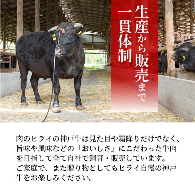 神戸牛サーロインステーキ(200g×3枚)《 肉 牛肉 牛 神戸牛 国産牛  サーロイン ステーキ 》【2407A00117】