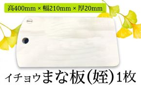 【水切りに便利な壁掛け穴】イチョウ まな板（姪） / 南島原市 / 森永材木店 [SBK009] 