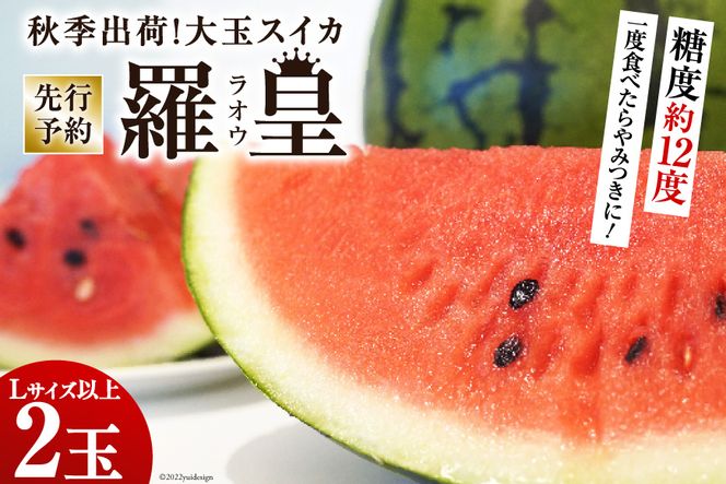 CF164【令和8年度出荷分】秋季出荷！大玉スイカ～羅皇（ラオウ）～（Lサイズ6kg以上×2玉入）[先行予約 数量限定 すいか スイカ 西瓜 フルーツ 果物 長崎 長崎県 島原市]