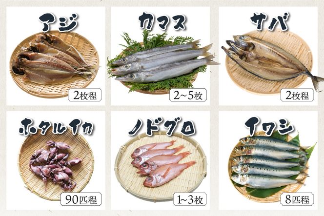 【定期便・3ヶ月】京丹後の地元魚屋が作ったお任せ干物セット（冷凍）　FS00024