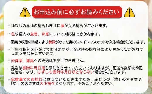 シャインマスカット 約1.2kg（約2～3房）《黒岩果樹園》■2024年発送■※9月上旬頃～11月上旬頃まで順次発送予定