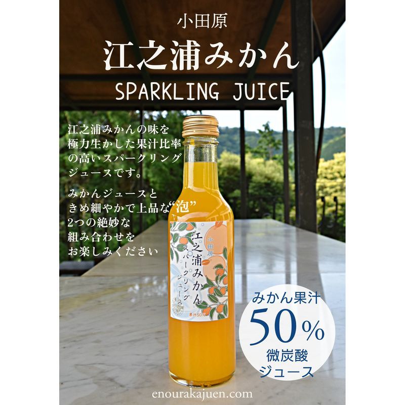 小田原産江之浦みかんスパークリング果汁入り飲料果汁50%200ml30本[ みかんジュース 神奈川県 小田原市 ]