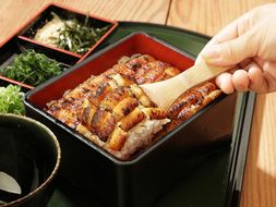 626.ドラゴンサイズの太刀魚蒲焼きのひつまぶし(3人前)(A626-2)