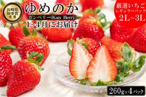 【CF01】CE178 長崎県知事賞受賞【 厳選 いちご 】「 ゆめのか （ 2L ～ 3L ）」260g × 4パック ＜1～4月にお届け＞