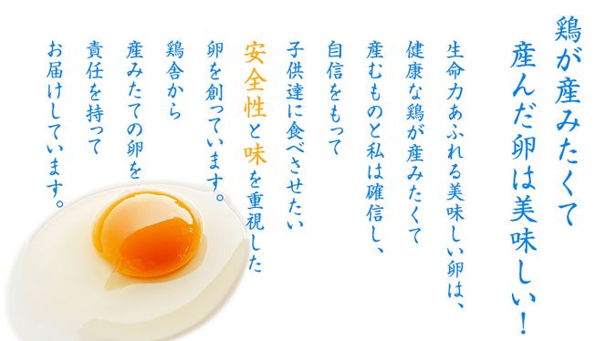 【 訳あり・規格外 】 鶏卵 30粒 ( 26粒 + 破損補償分 4粒) 卵 たまご 鶏 養鶏場直送　新鮮　訳アリ　規格外　お得 ふるさと納税 5000円 [CZ005ya] 