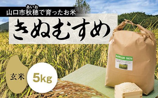 D192 あいお（秋穂）で育ったお米 きぬむすめ 玄米 5kg