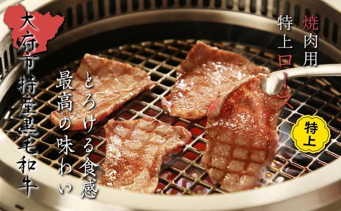 【定番】大府特産A5黒毛和牛下村牛焼肉用特上ロース　500g 232238_N053