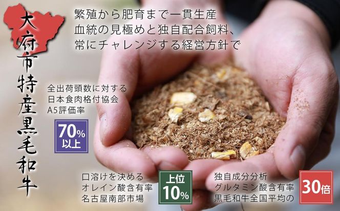 【定番】大府特産A5黒毛和牛下村牛焼肉用特上ロース　500g 232238_N053