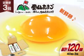 BI031 3回 定期便 雲仙たまごLサイズ 40個 (10個入り×4パック) (37個＋割れ補償3個入り) [ 卵 たまご 生卵 鶏卵 赤卵 玉子 新鮮 塚ちゃん雲仙たまご村 長崎県 島原市 ]