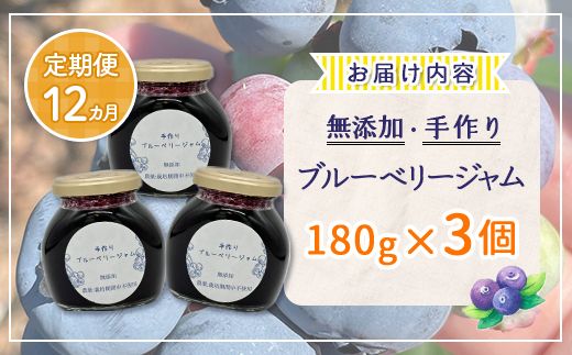 【定期便12カ月】北海道 豊浦町産 無添加手作り ブルーベリージャム180g×3個 TYUS001