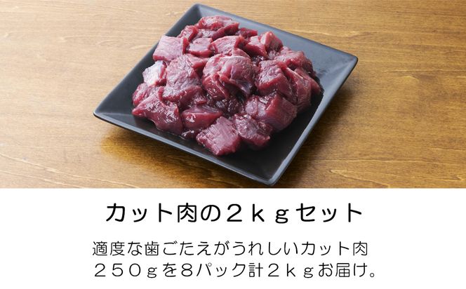 【12回定期便】 森のジビエ for PET 鹿肉 2kg ペットフード 犬 猫 A-JK-D01A