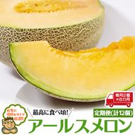 【定期便】 アールスメロン 毎月2個 × 6か月 （計12個） [BI93-NT]