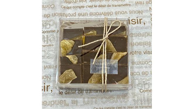 ショコラフリュイ アップルジンジャー チョコレート チョコ スイーツ デザート 高級 ギフト 贈り物 お礼 プレゼント 手土産 お菓子 [DJ31-NT]