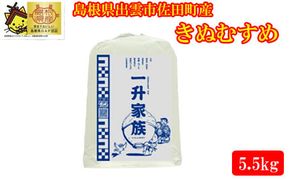 新米予約　出雲市佐田町産きぬむすめ 「一升家族」（白米5.5㎏）【1-295】